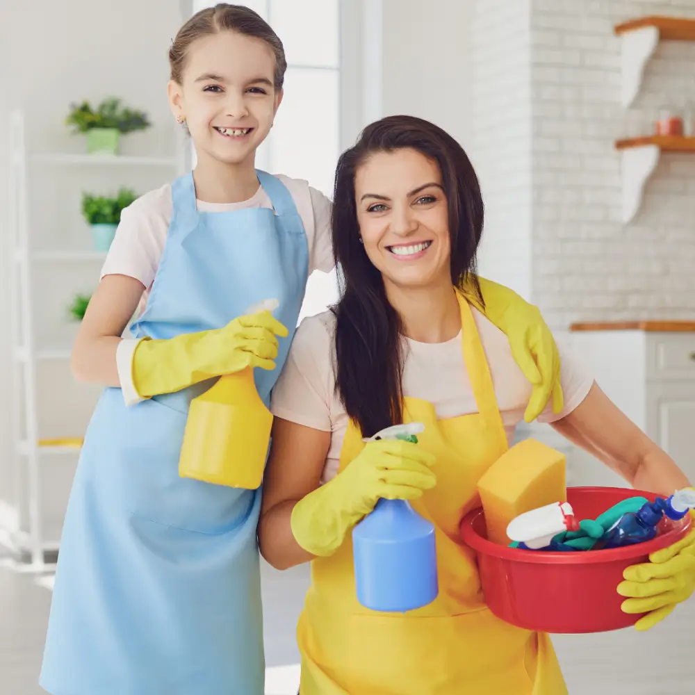 shower-cleaner-homemade