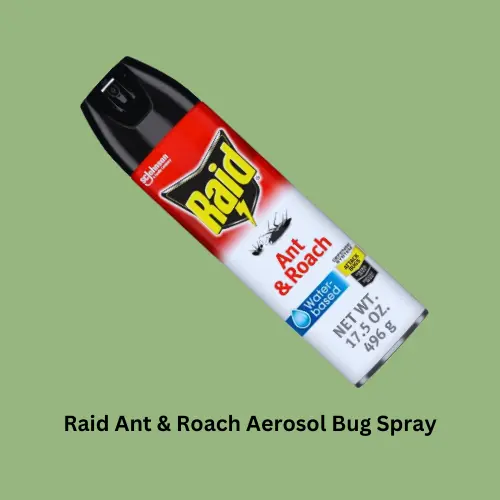 best-bugs-spray