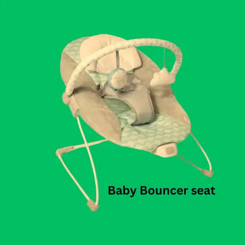 ingenuity baby bouncer